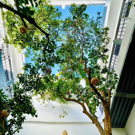 RIAD MAGIE Boutique Hotel-2
